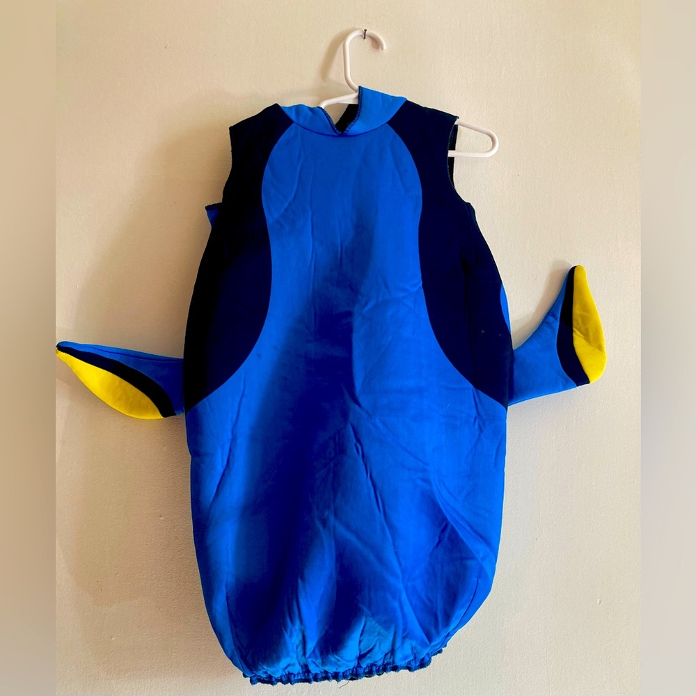 Disney Dory Costume